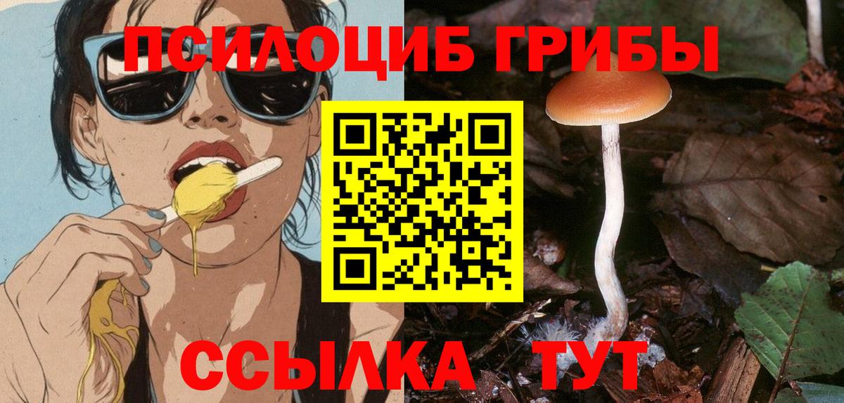 Гатчина  Вход с VPN  Наркошоп  Гашиш  КОКАИН  МЕТАДОН  LSD-25  МЕФ кристаллы  A PVP СК кристаллы  Каннабис  ГАШ 