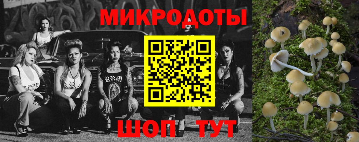 Гатчина  где купить наркоту  Вход с VPN  Псилоцибиновые грибы GOLDEN TEACHER 